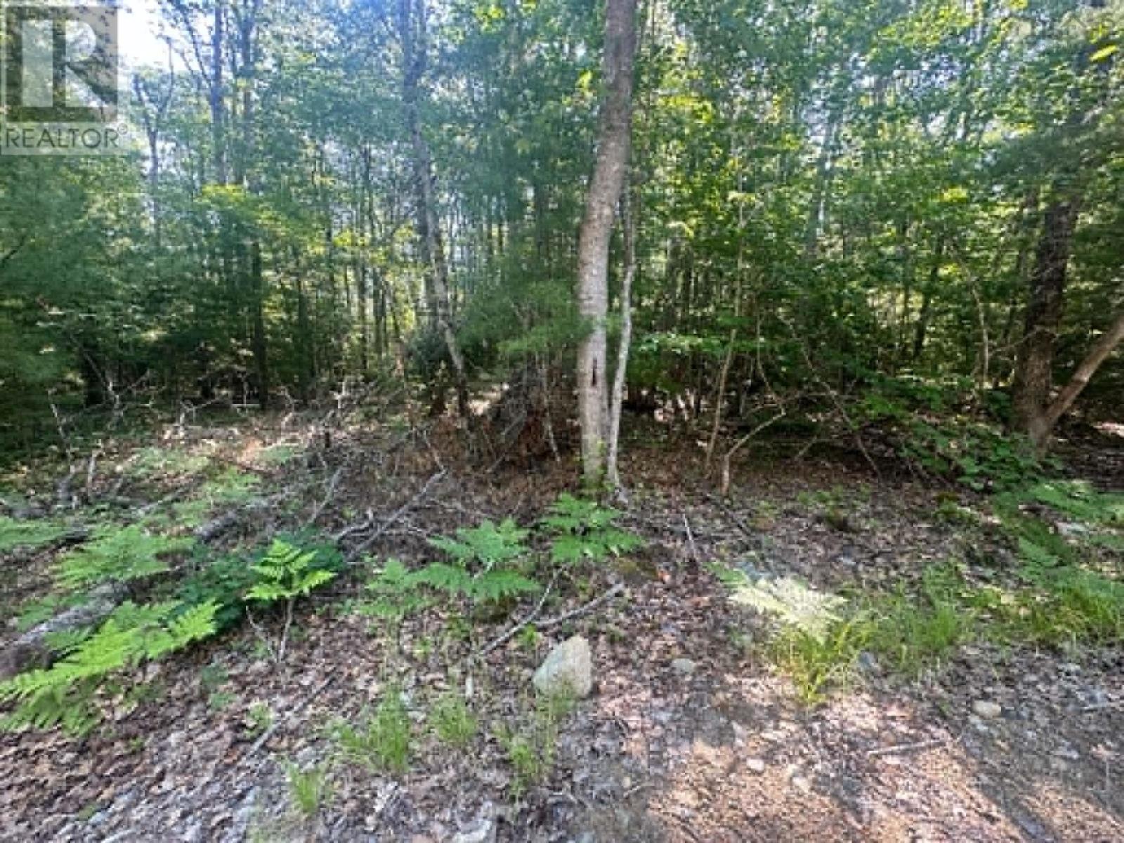 Lot 13 Jordan Branch Road Property Photo 9