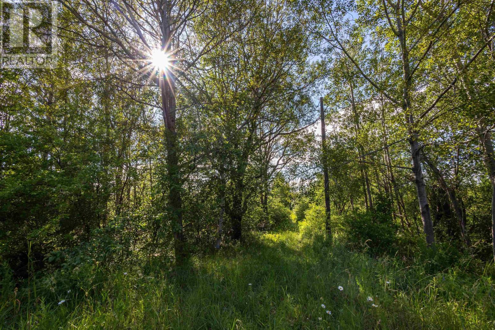 7984 East Bay Highway Property Photo 13