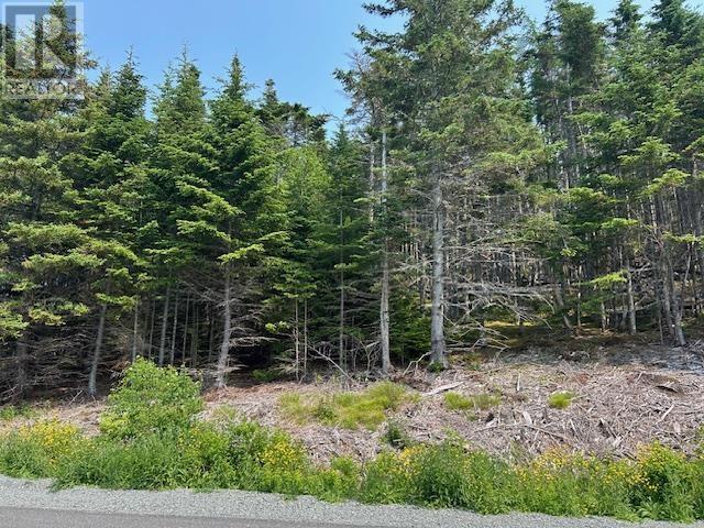 Soldiers Cove Road Property Photo 3