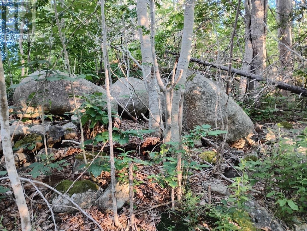 Lot Fraser Road Property Photo 12