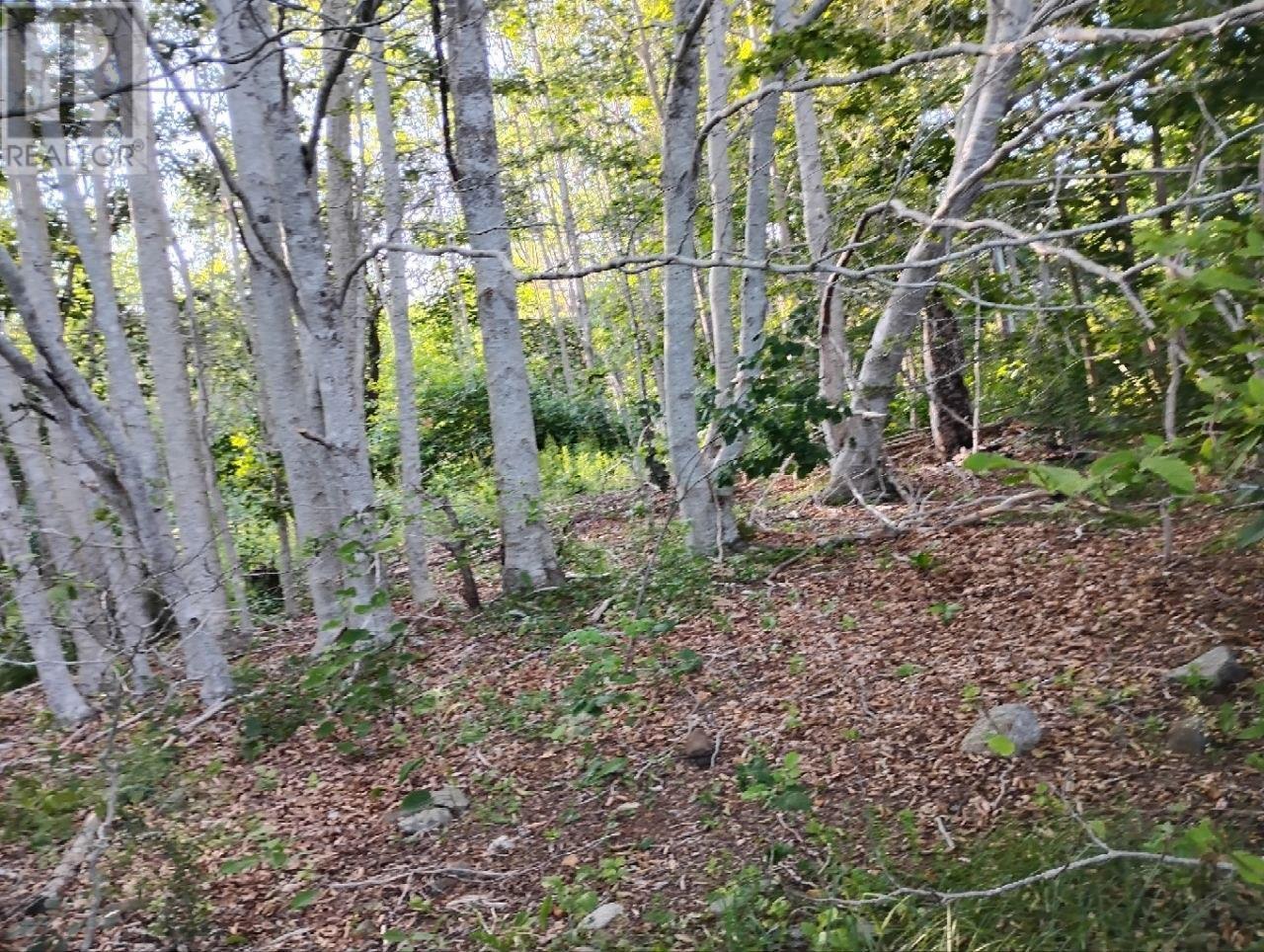 Lot Fraser Road Property Photo 13