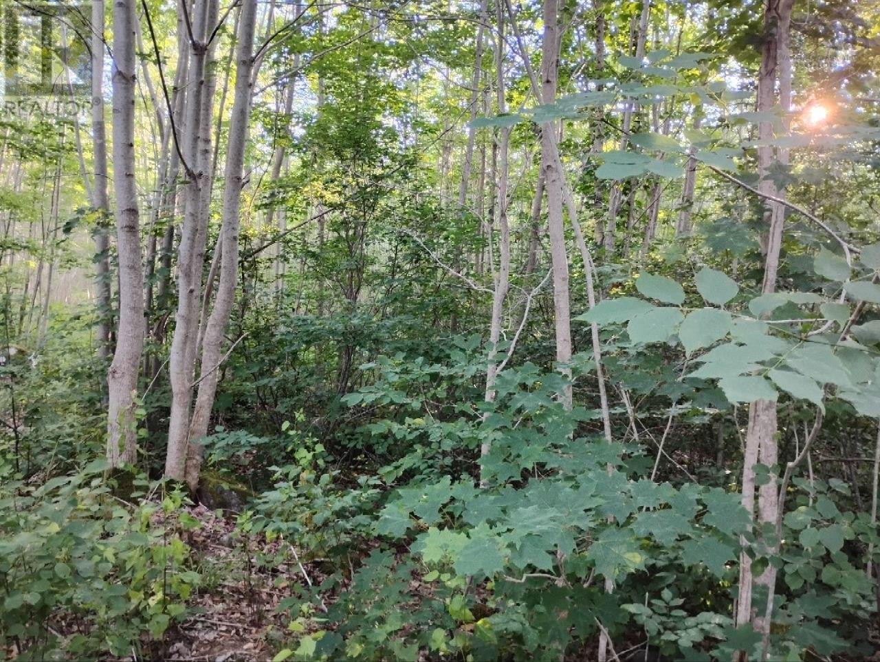 Lot Fraser Road Property Photo 15