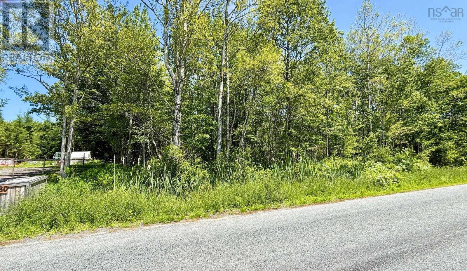 Lot C Highway 215 Property Photo 4
