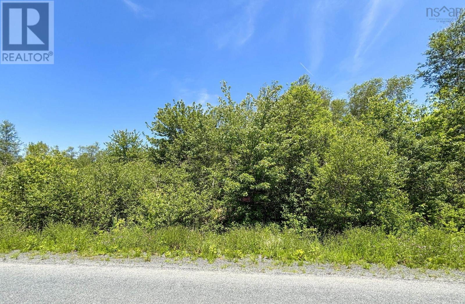 Lot C Highway 215 Property Photo 5