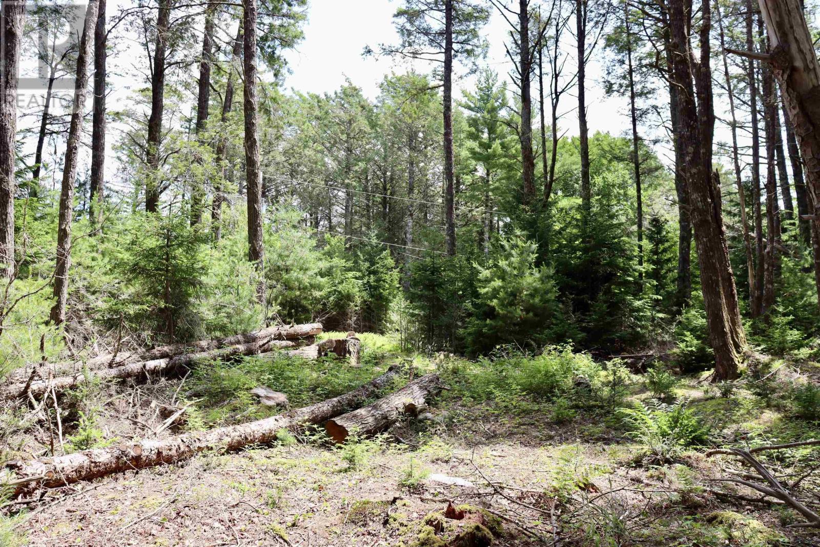 Roseway Drive Property Photo 23