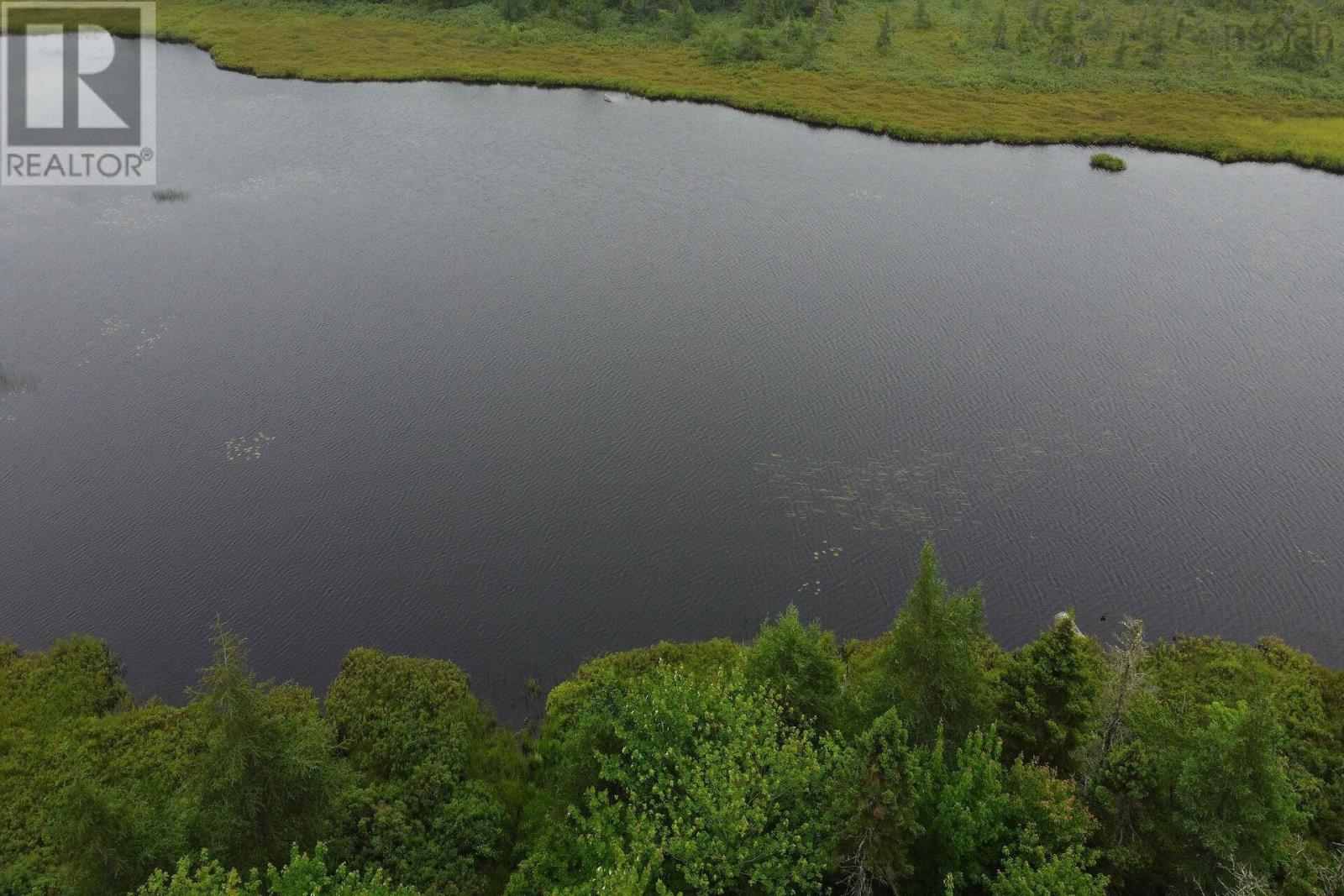 51 Back Lake Property Photo 41