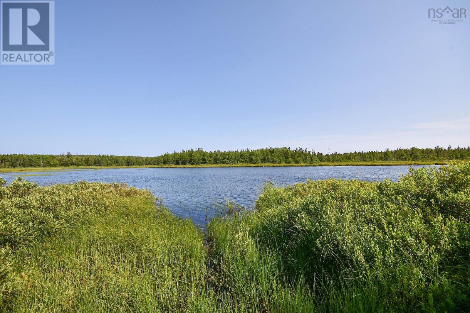 51 Back Lake Property Photo 48