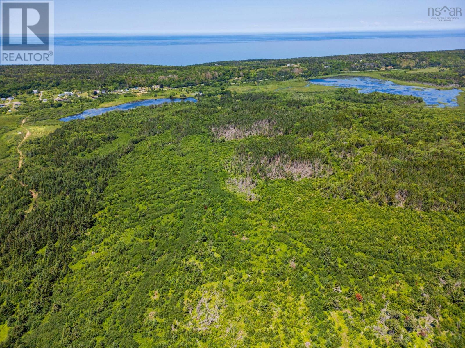 Land Highway 217 Property Photo 9