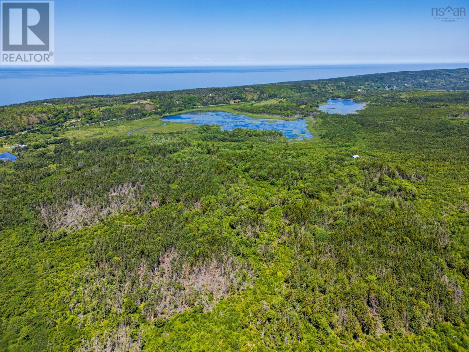 Land Highway 217 Property Photo 10