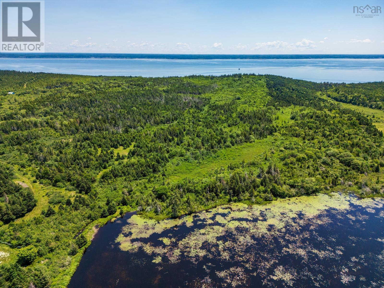 Land Highway 217 Property Photo 13