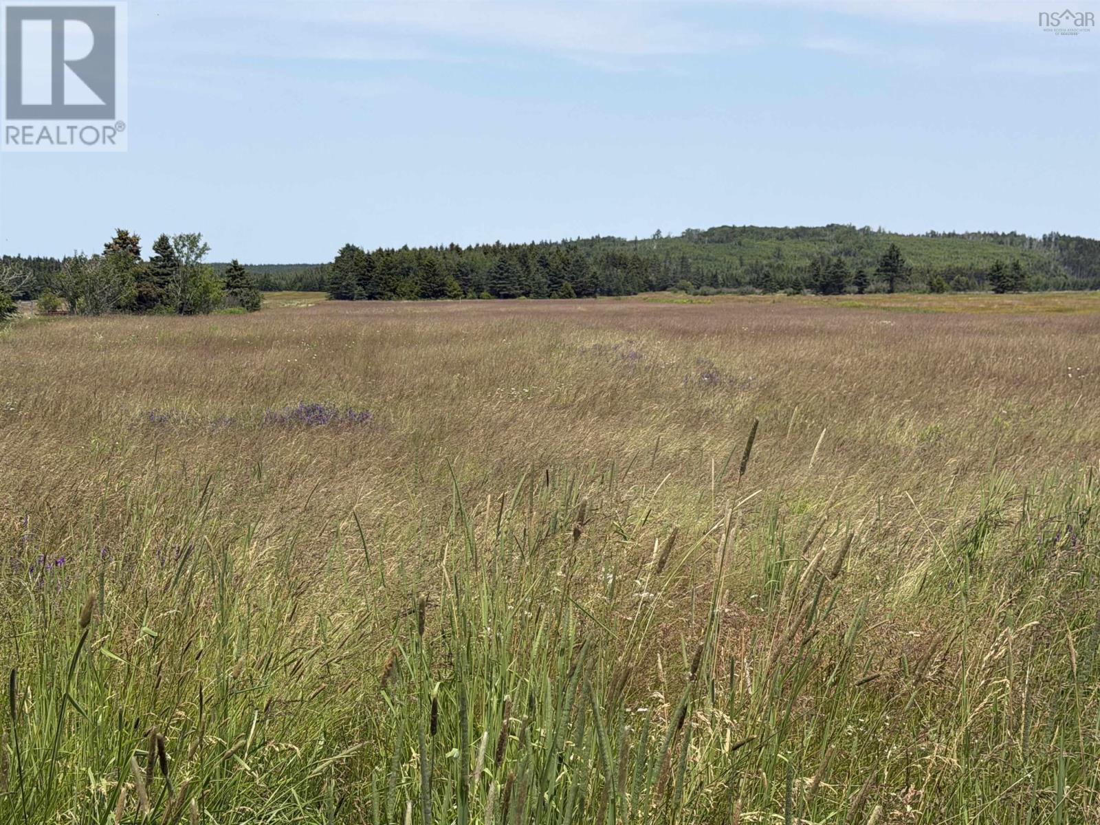 3643 Highway 209 Property Photo 21