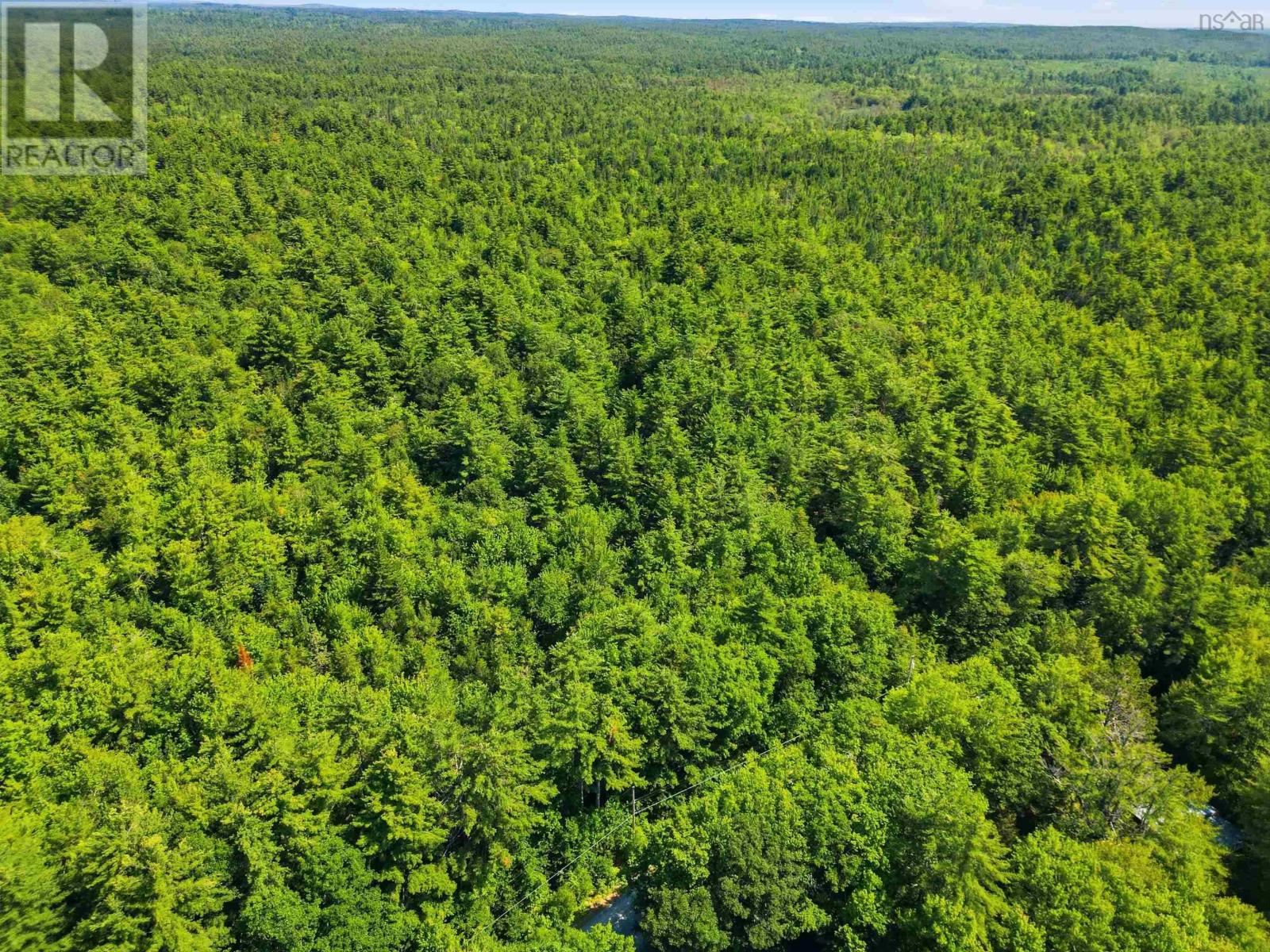 Lot (pid 70115290) Medway River Road Property Photo 5