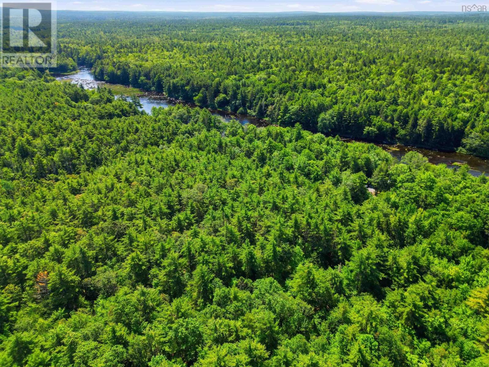 Lot (pid 70115290) Medway River Road Property Photo 6