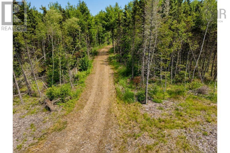Lot 5 Sandy Mackay Road Property Photo 5