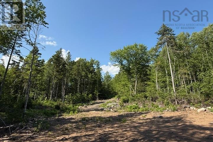 Lot 14 Larch Lane Property Photo 10