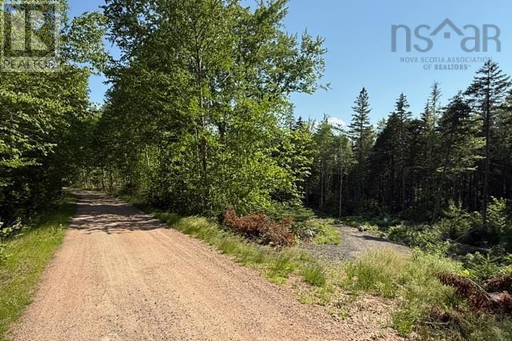 Lot 12 Larch Lane Property Photo 7