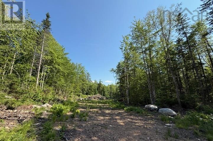 Lot 12 Larch Lane Property Photo 9
