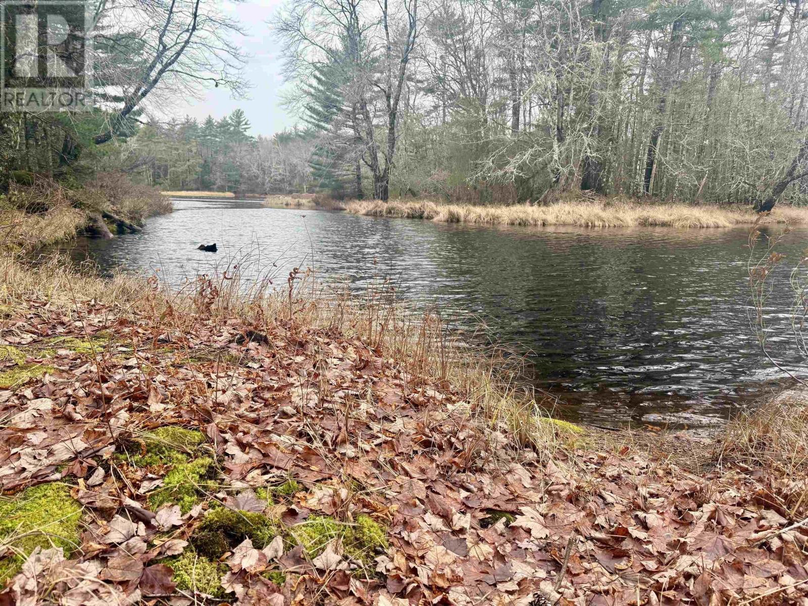 Lot Br-5 203 Highway Property Photo 15
