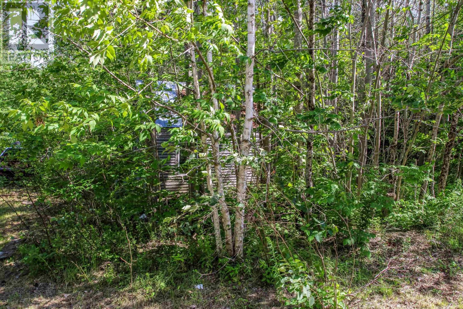 2113 Fire Lane Property Photo 37