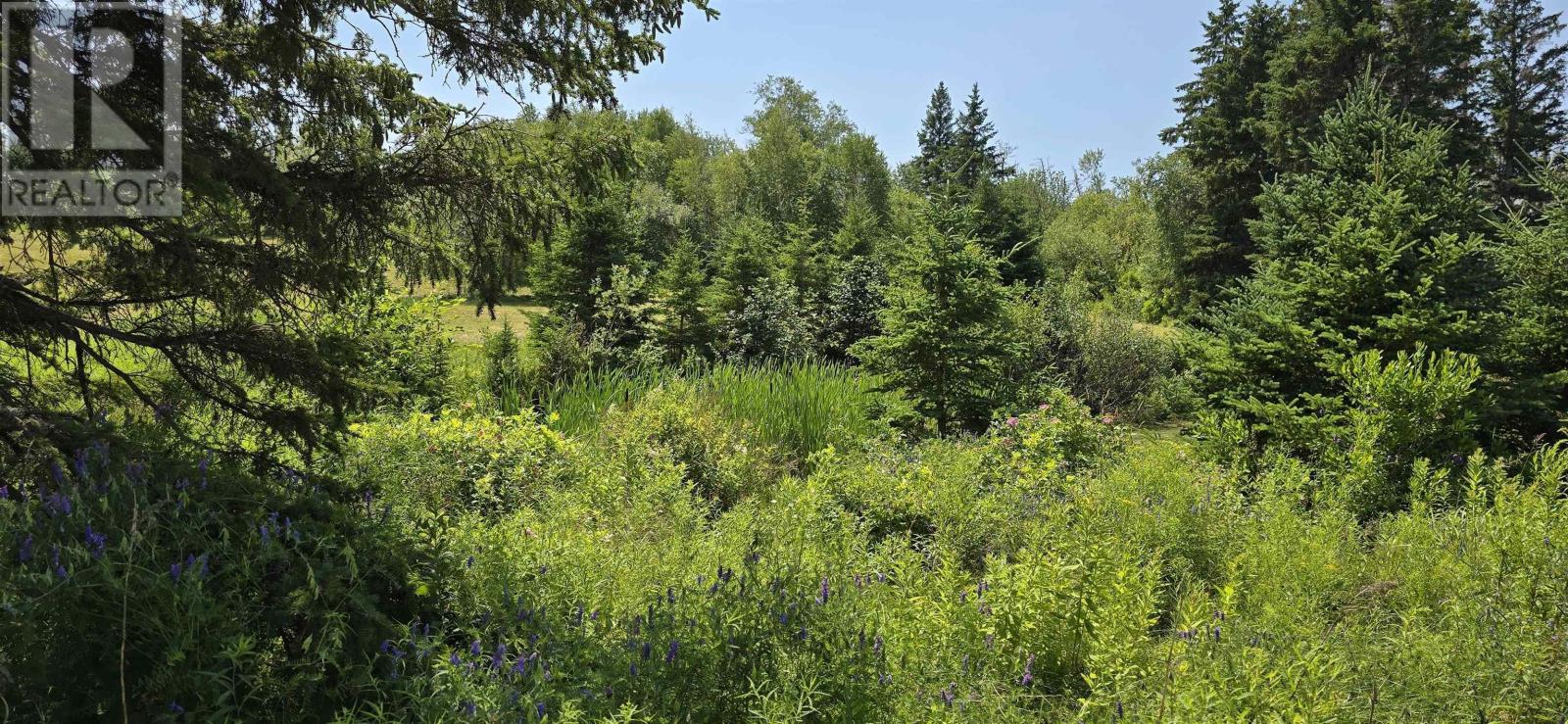 Lot 2007-1 Gulf Shore Road Property Photo 11