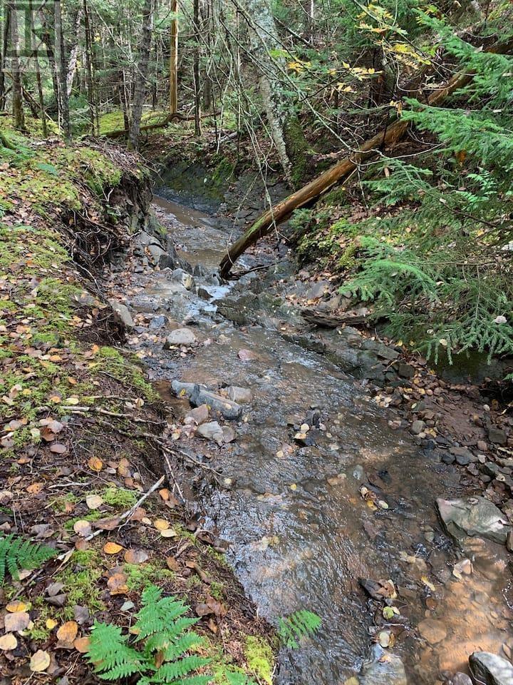 146 Pinky Creek Road Property Photo 48