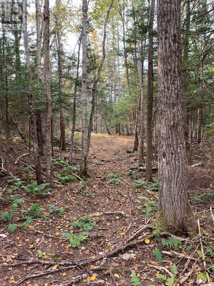 146 Pinky Creek Road Property Photo 49