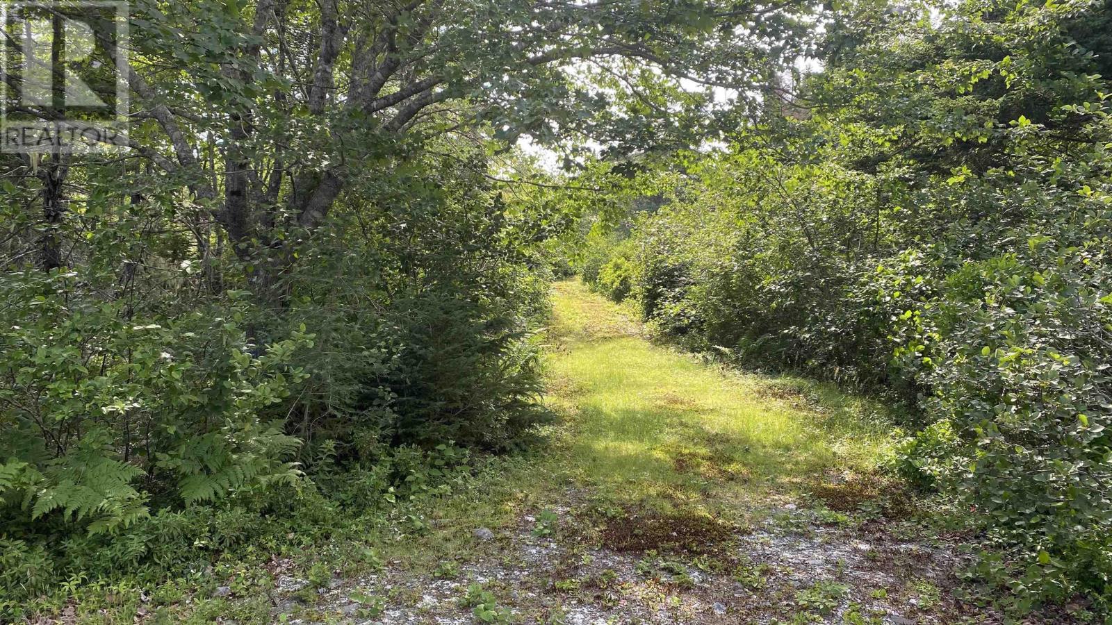 Oceanfront At Eagle Point Road Property Photo 12