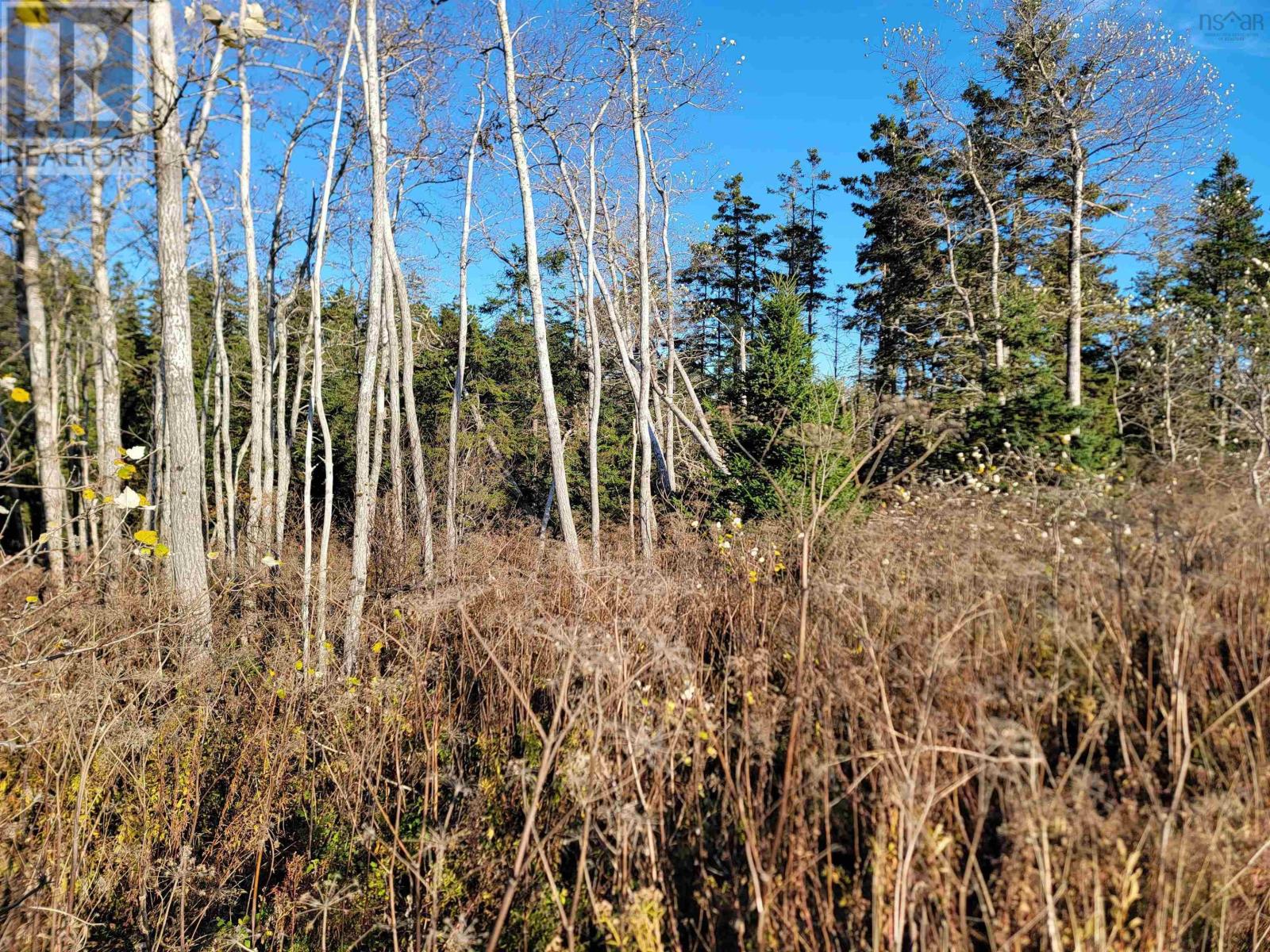 Bona Road Property Photo 3