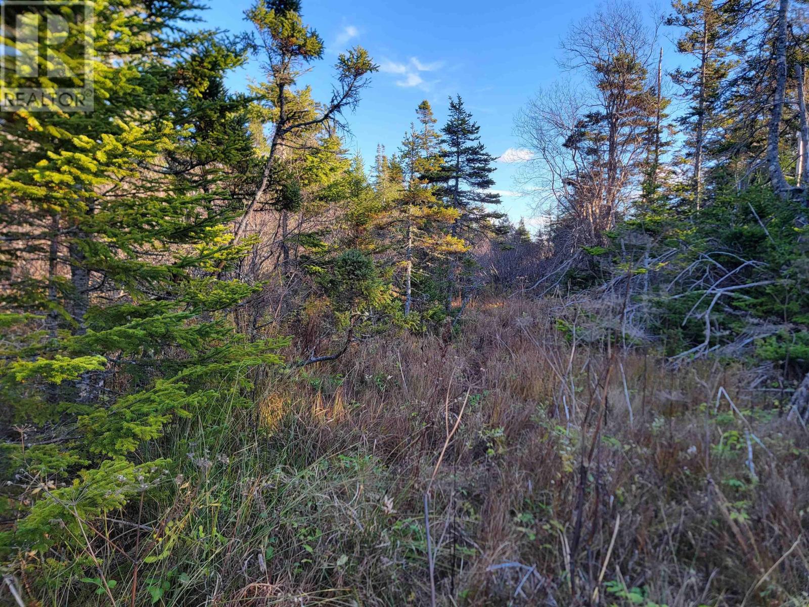 Bona Road Property Photo 5
