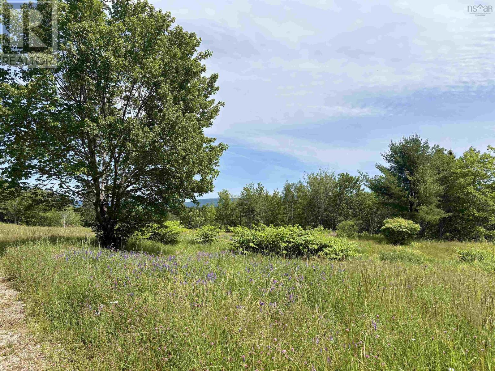 1629 West Side Middle River Property Photo 2