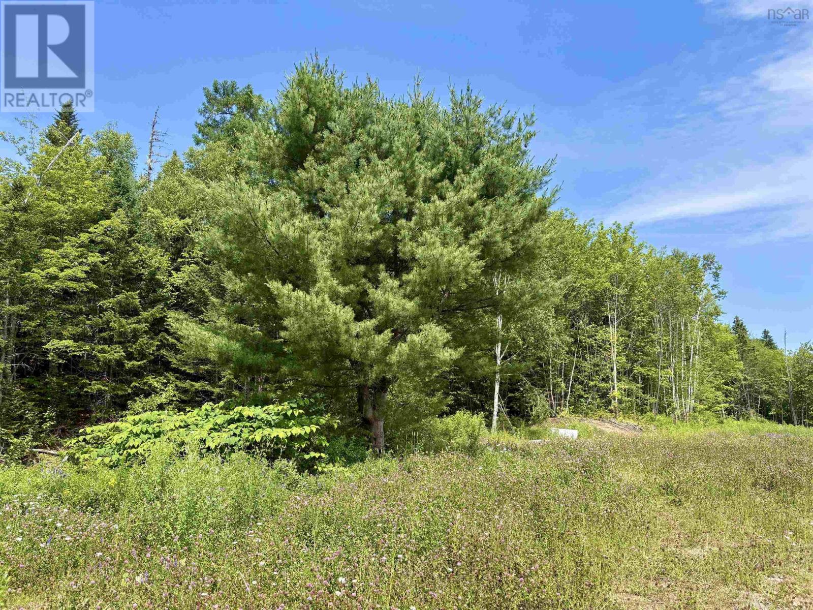 1629 West Side Middle River Property Photo 9