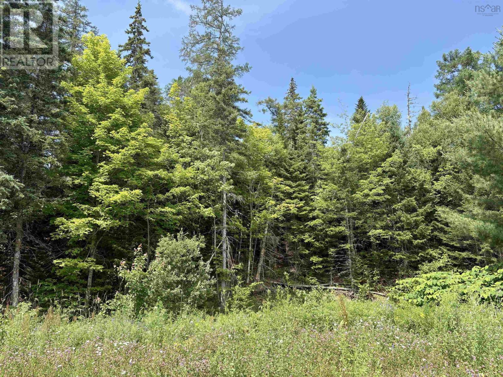 1629 West Side Middle River Property Photo 10
