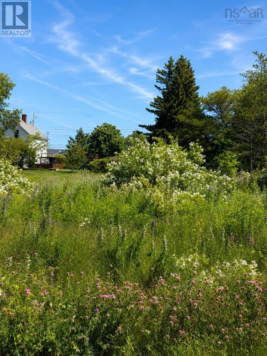 Lot 2026-1 Morrison Street Property Photo 2