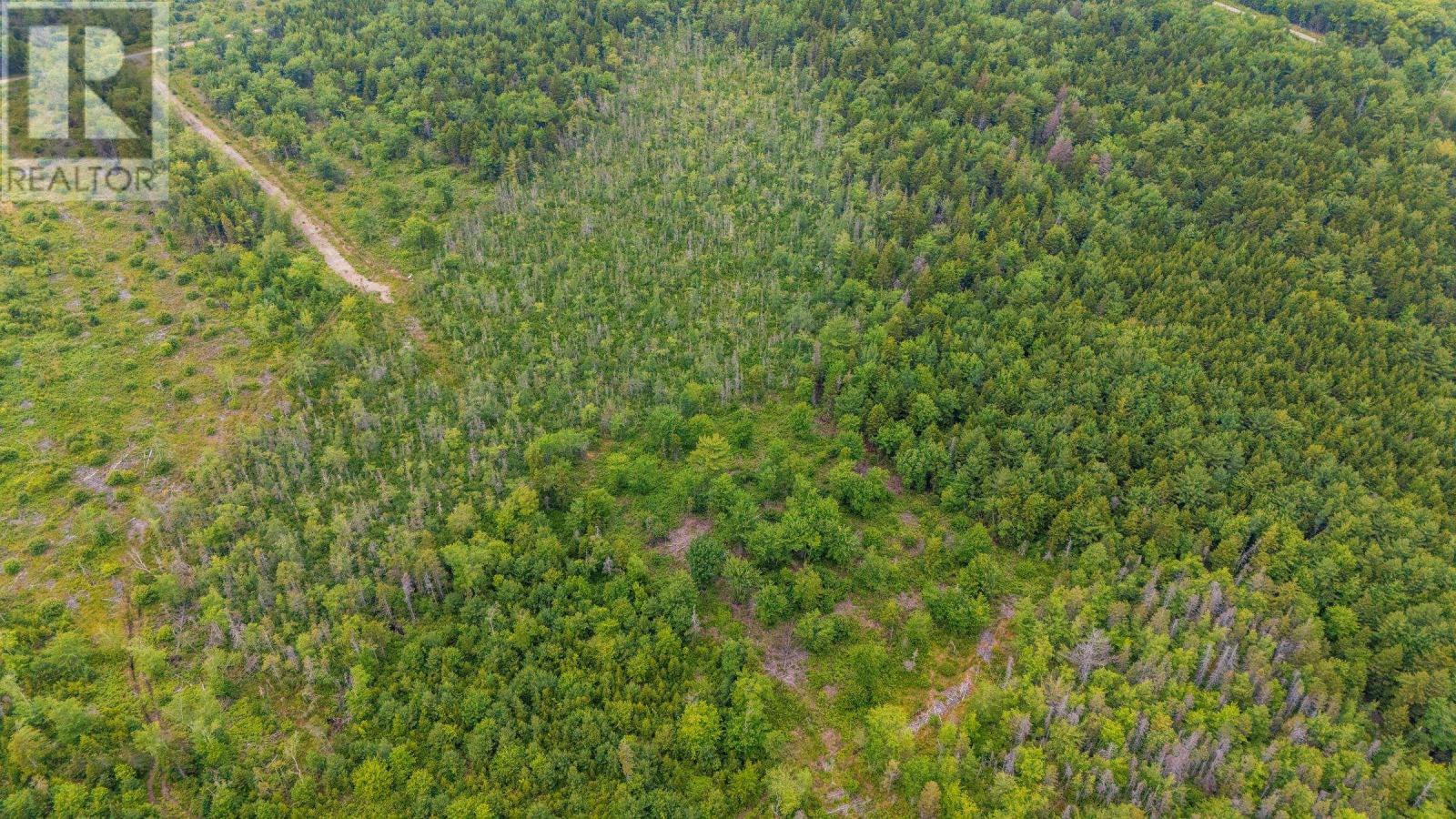 Lot East Concession Road Property Photo 8
