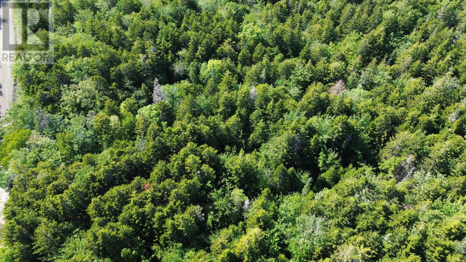 Lot Old Mountain Road Property Photo 8