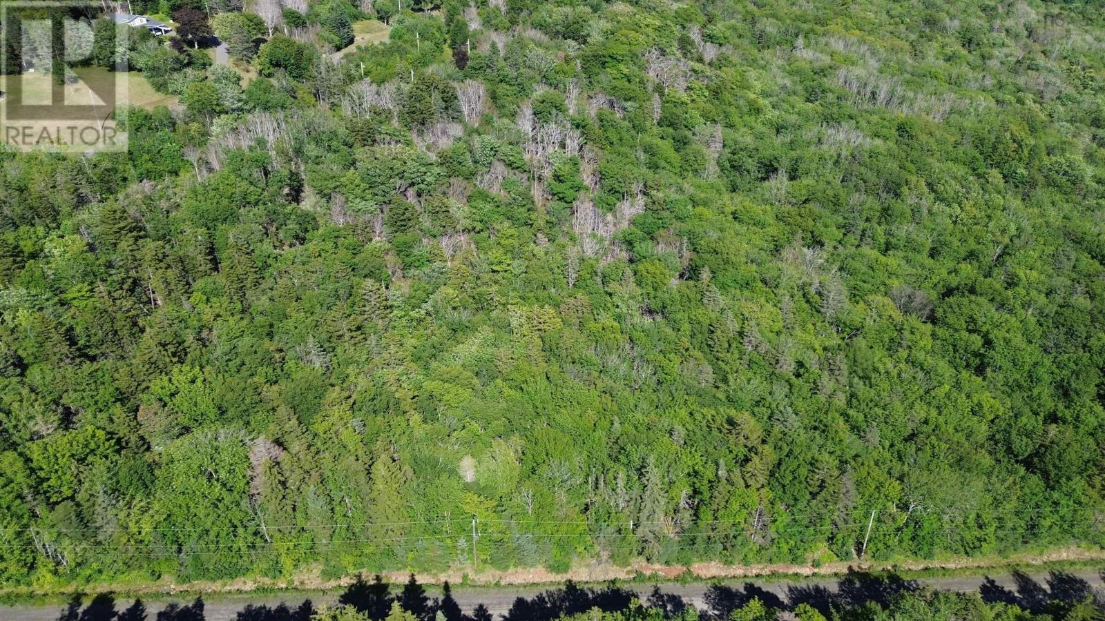 Lot Old Mountain Road Property Photo 11