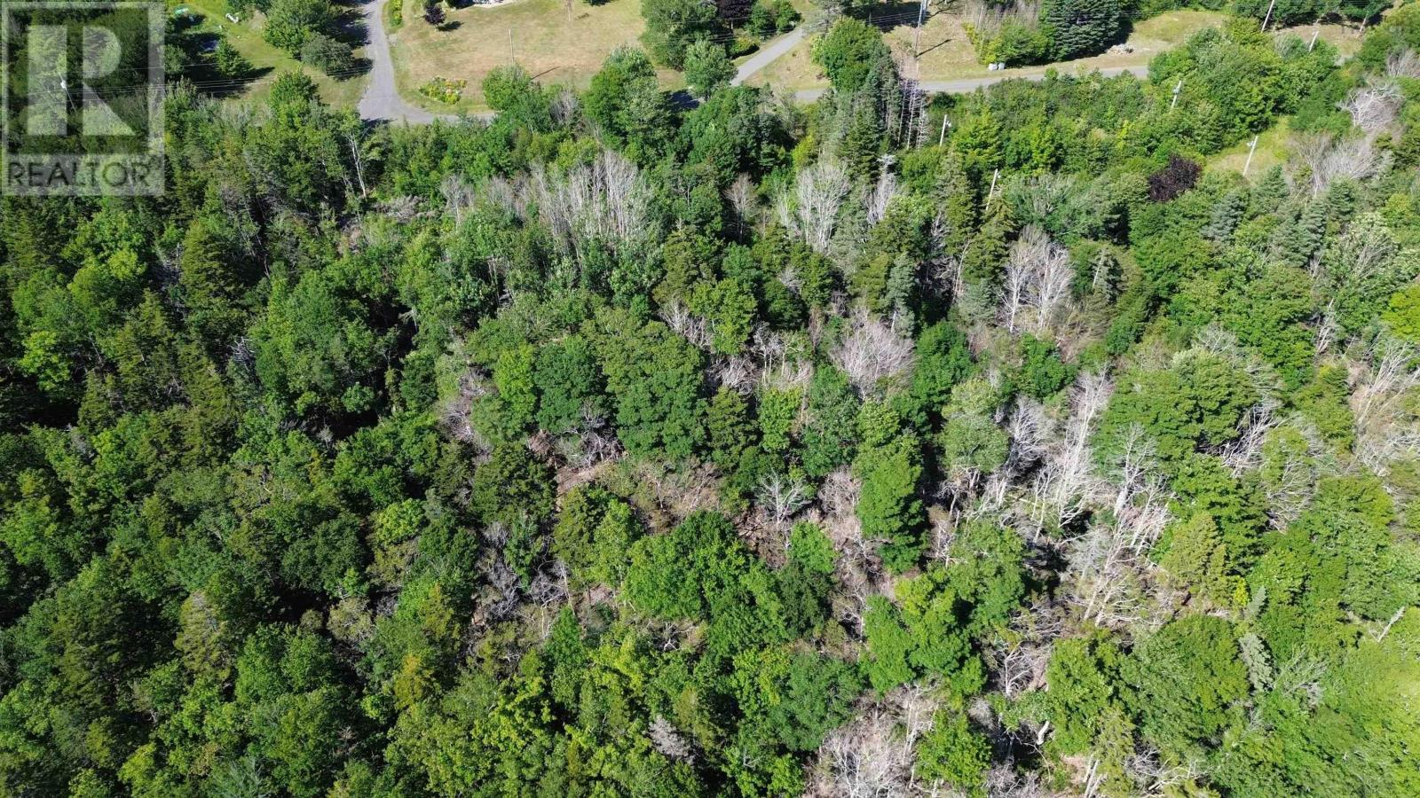 Lot Old Mountain Road Property Photo 13