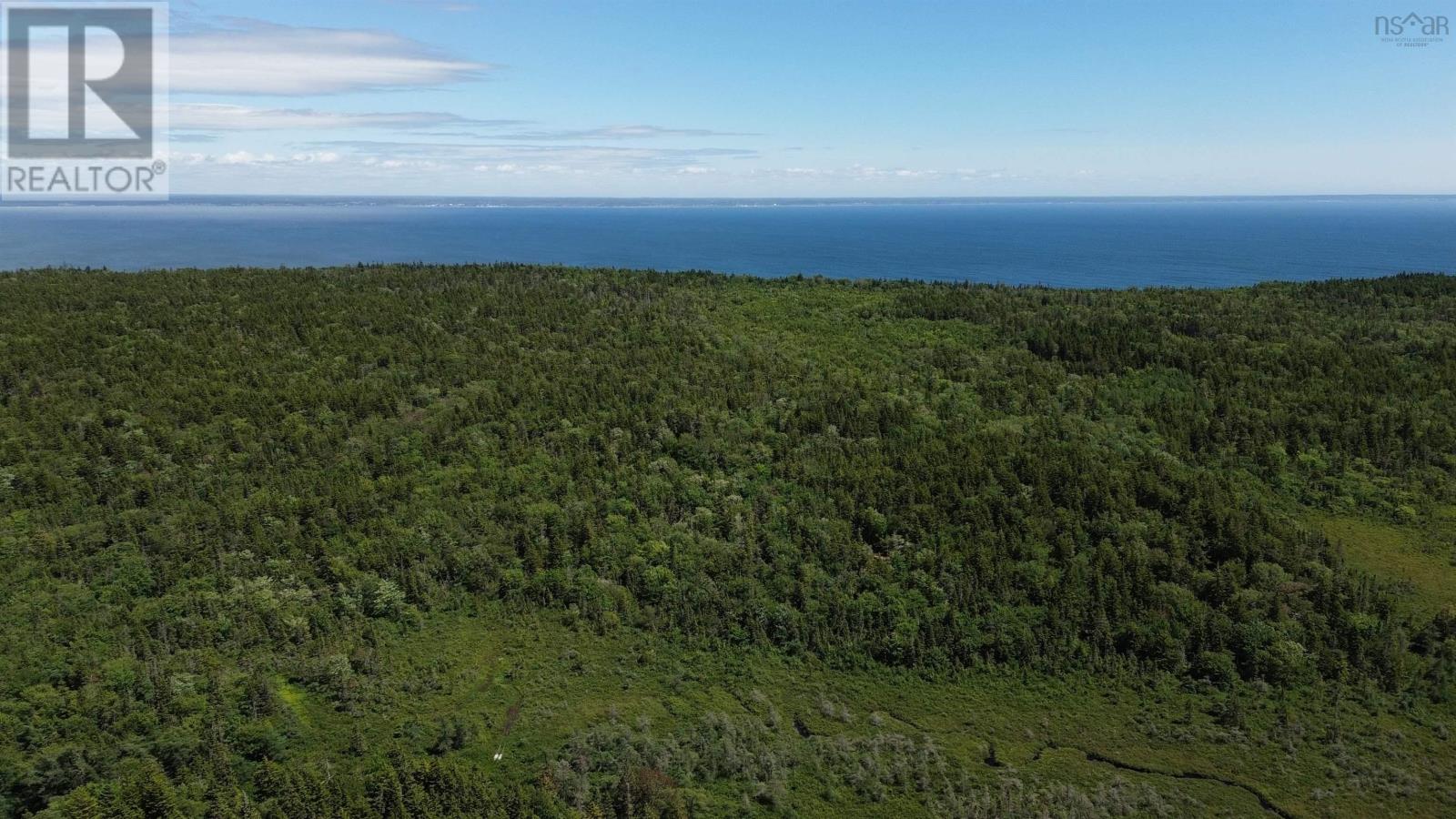 Lot Highway 217 Property Photo 2