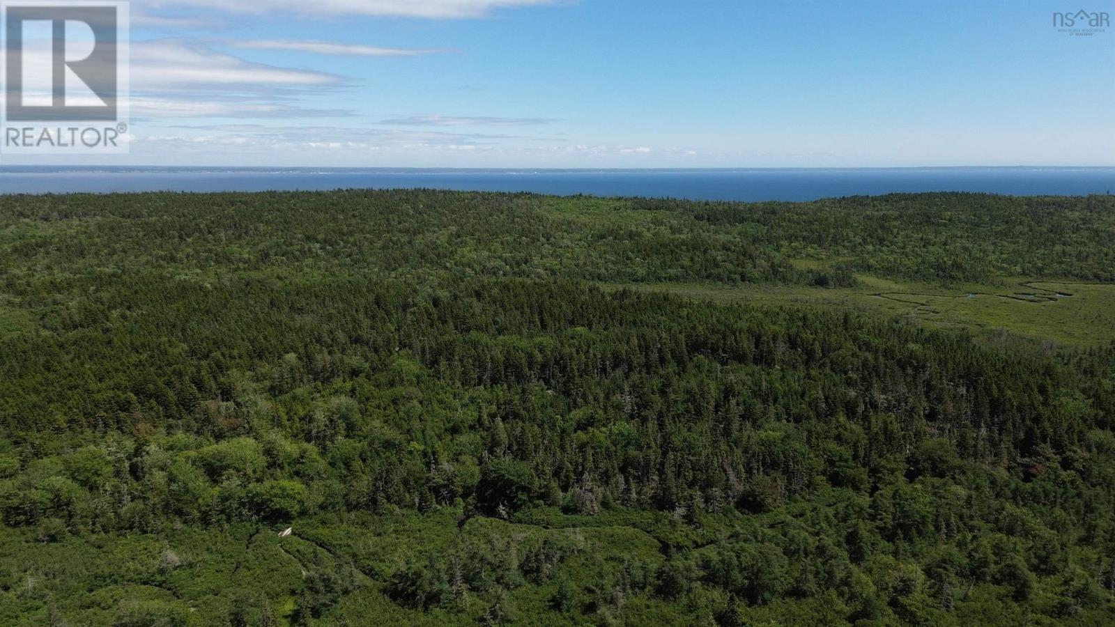 Lot Highway 217 Property Photo 5