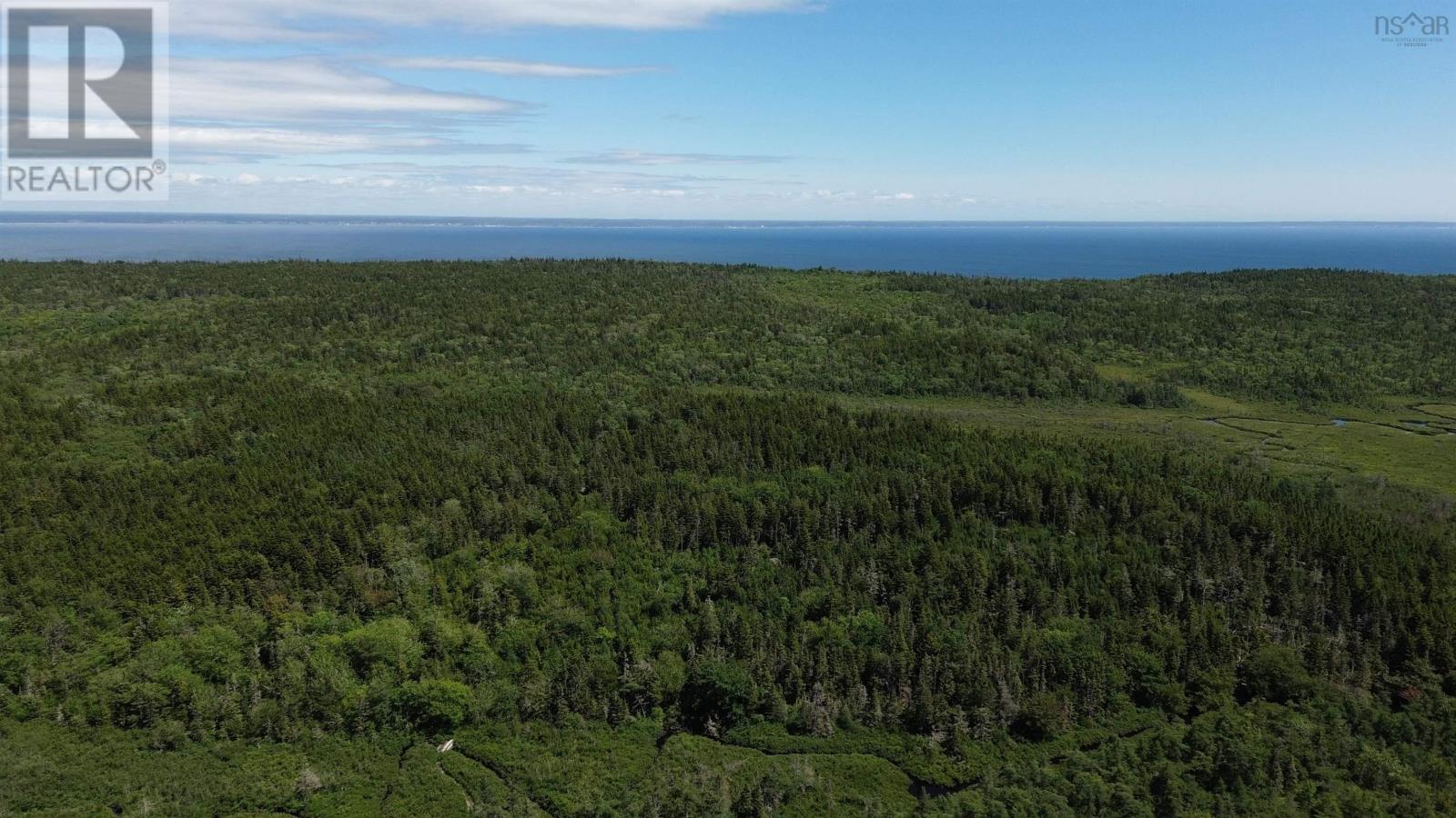 Lot Highway 217 Property Photo 6