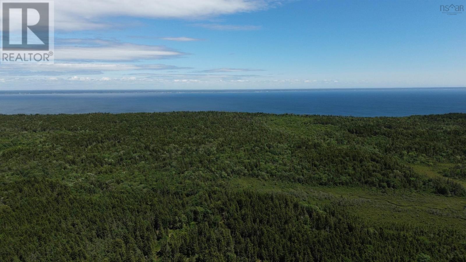 Lot Highway 217 Property Photo 9