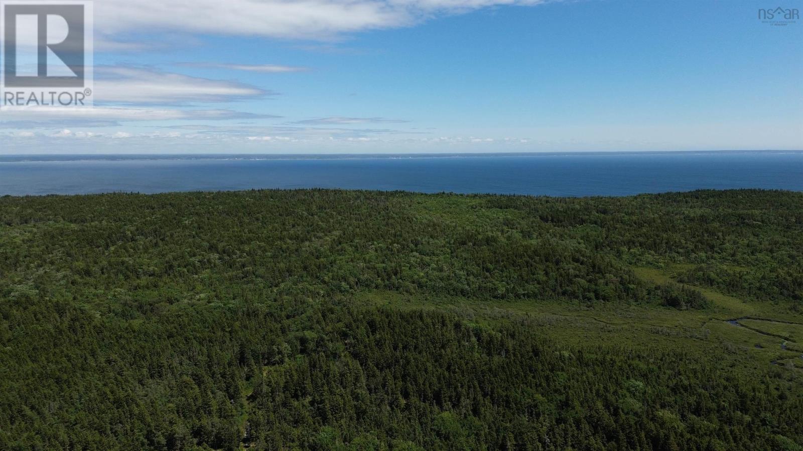 Lot Highway 217 Property Photo 10