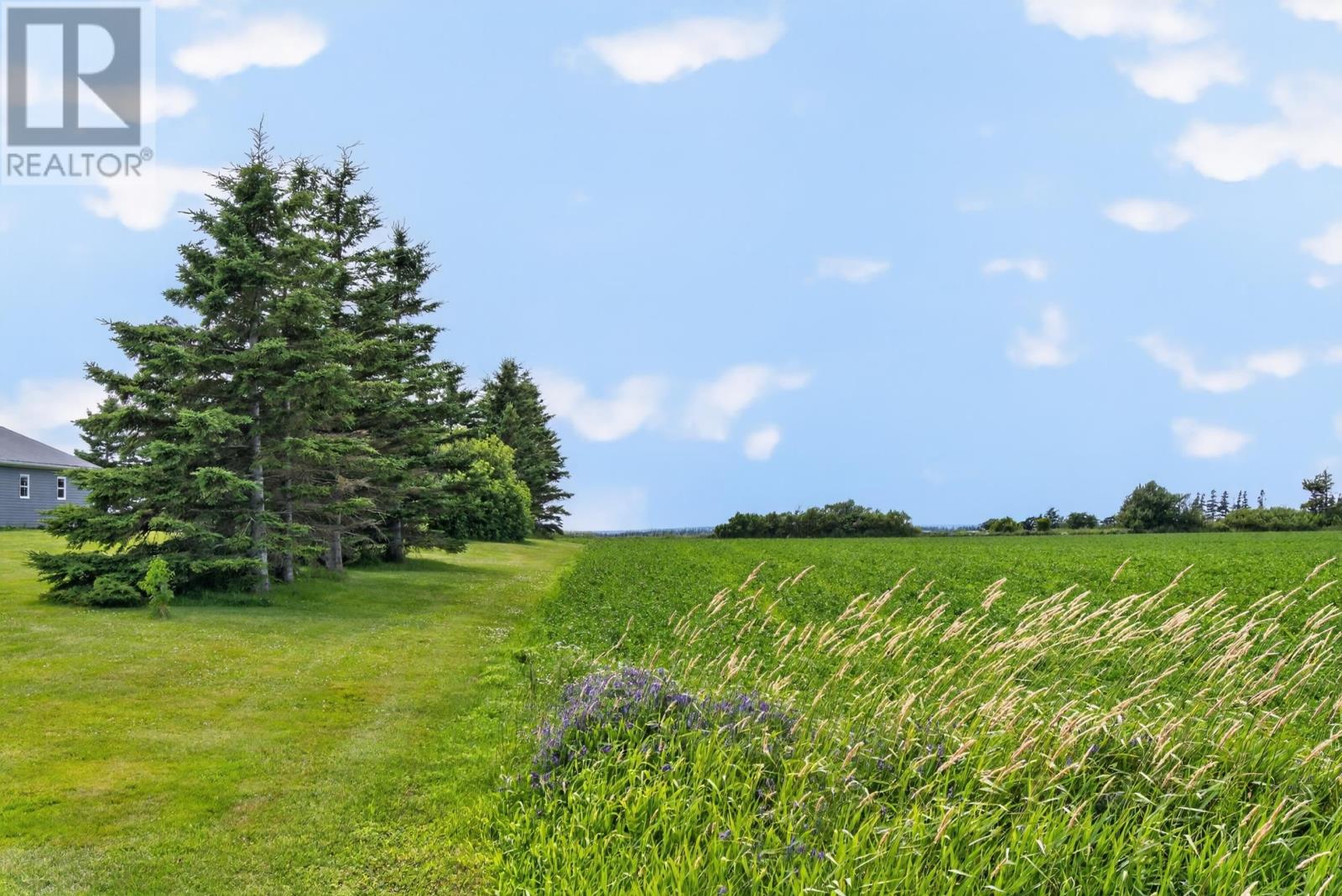 Lot 2016-1 Malpeque Road Property Photo 24