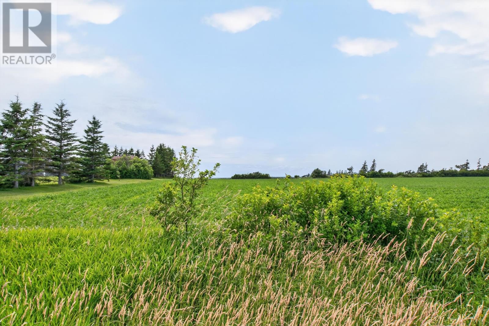 Lot 2016-1 Malpeque Road Property Photo 26