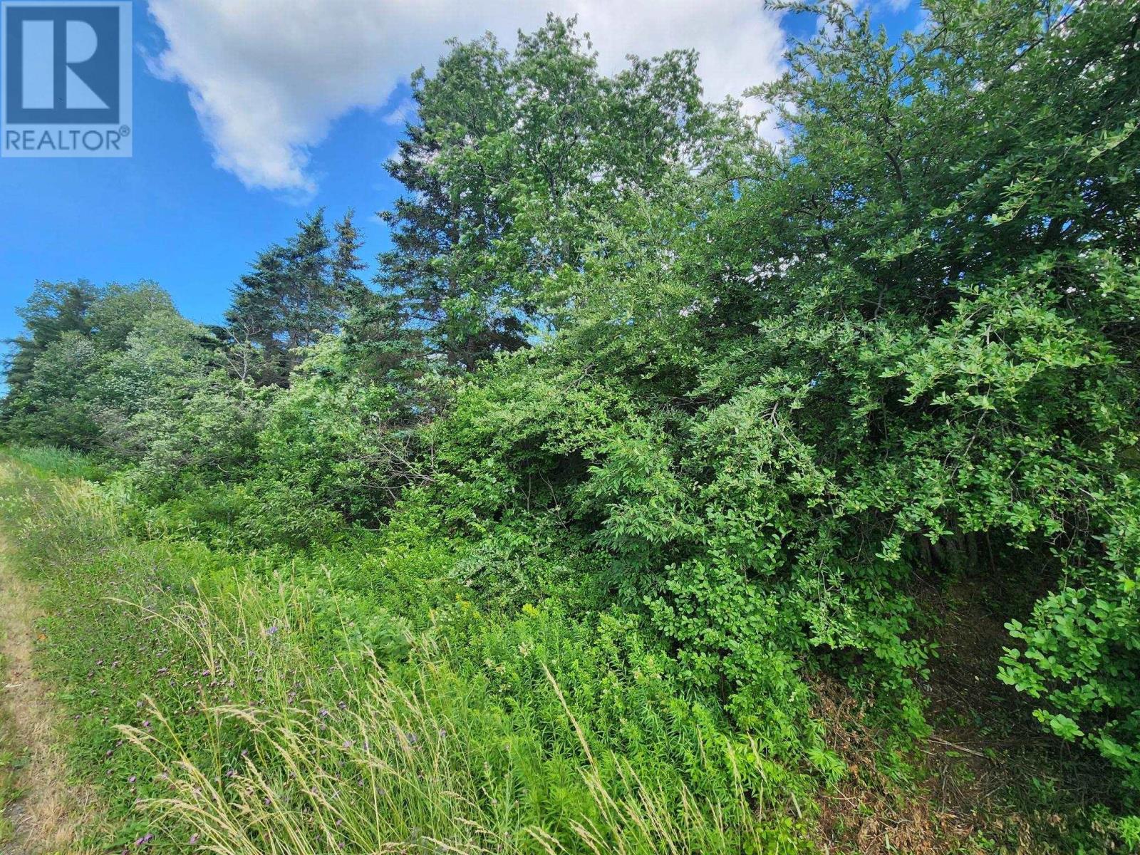 Lot Highway 236 Property Photo 1