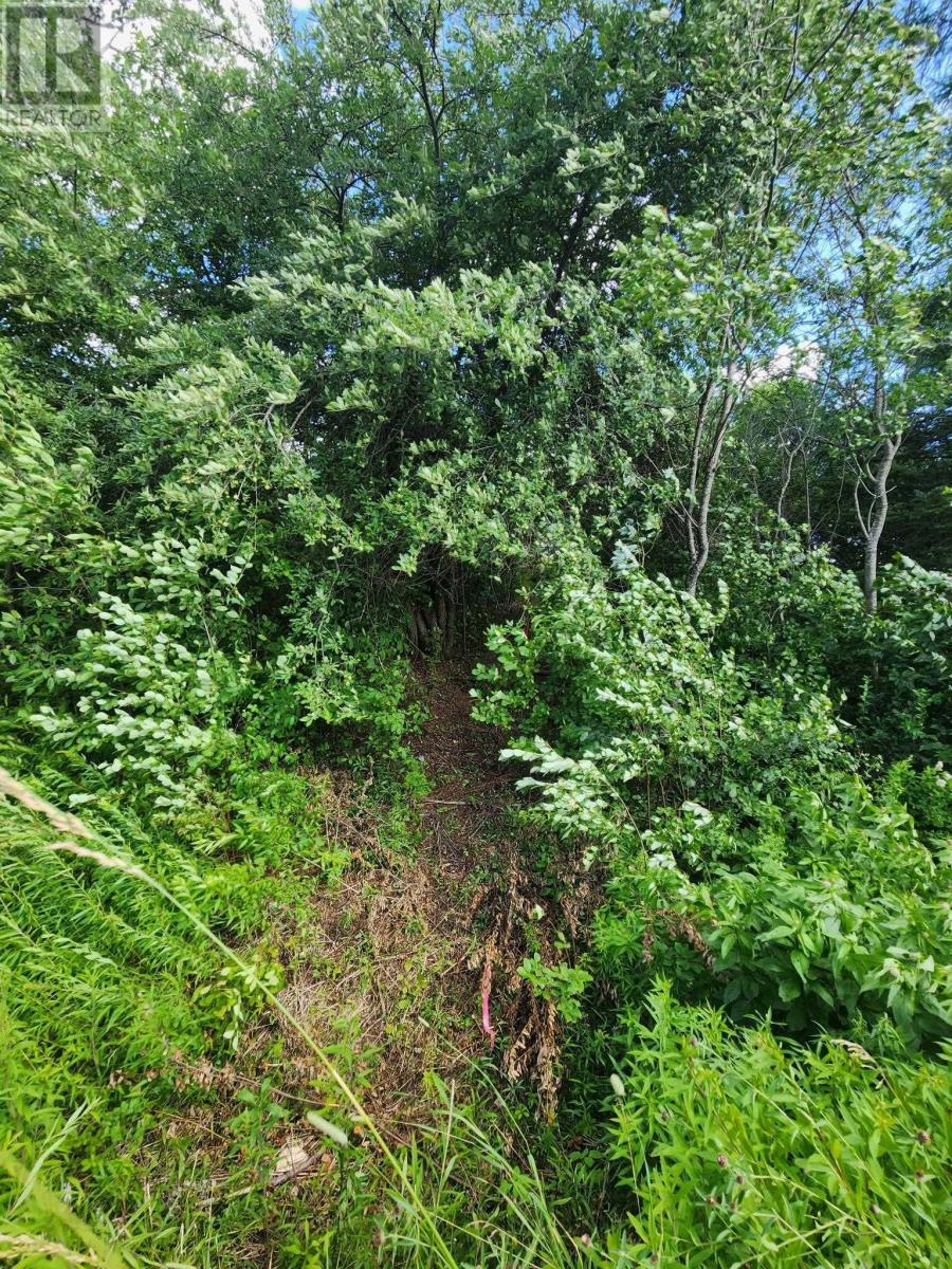 Lot Highway 236 Property Photo 2