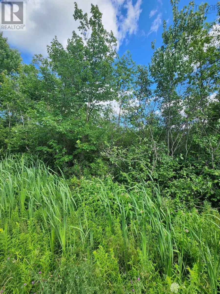 Lot Highway 236 Property Photo 3