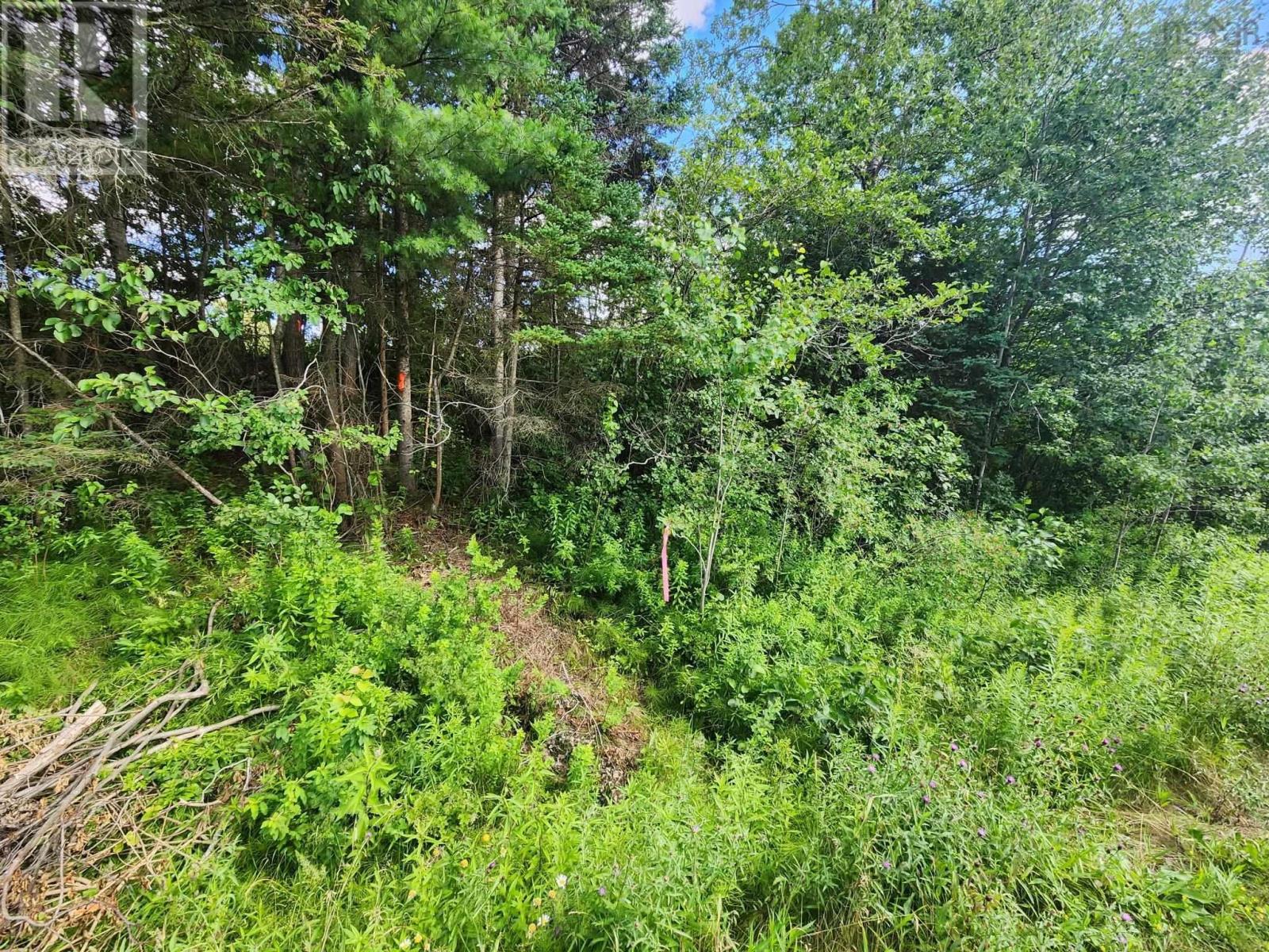 Lot Highway 236 Property Photo 4