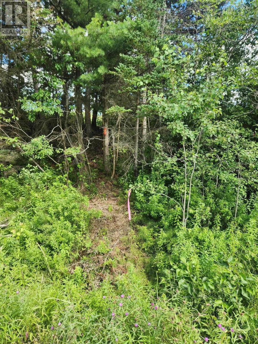Lot Highway 236 Property Photo 5