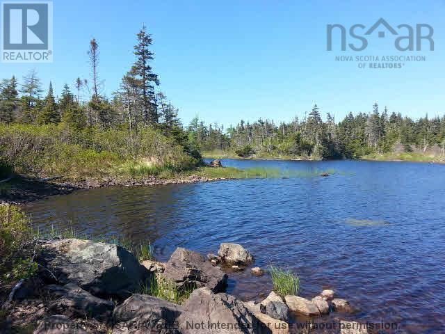 Lot 11 East Side Grand River Road Property Photo 15